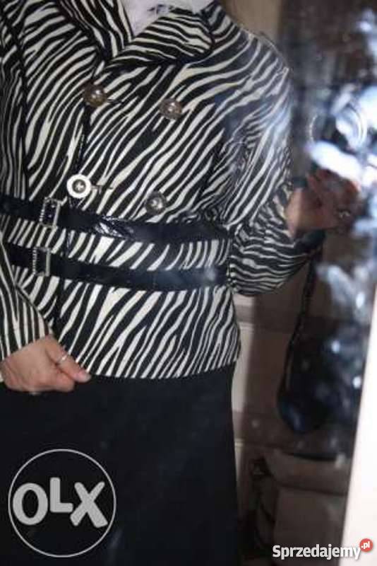 Kurtka w zeberkę 40 Kurtki i płaszcze dolnośląskie Legnica sprzedam