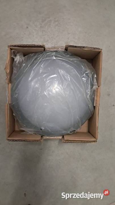 Sokół 600 koło Chomęcice