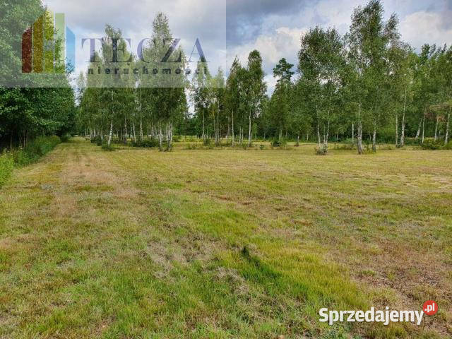 Działka Majdan 18000m2 22m mazowieckie