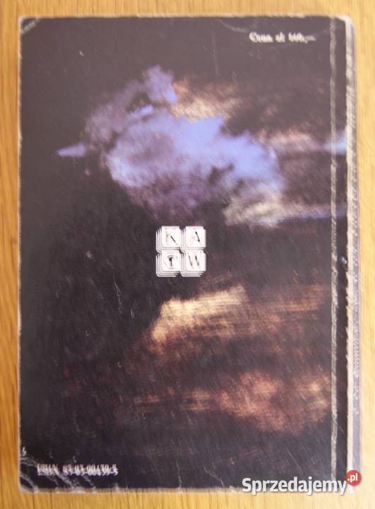 Ireneusz Gwidon Kaiński Mściciel przypływa z lubelskie Parczew