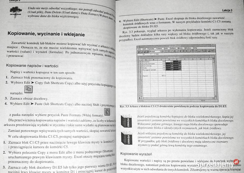 EXCEL 4 Windows Szybki start Stephen L Nelson miękka Chełm