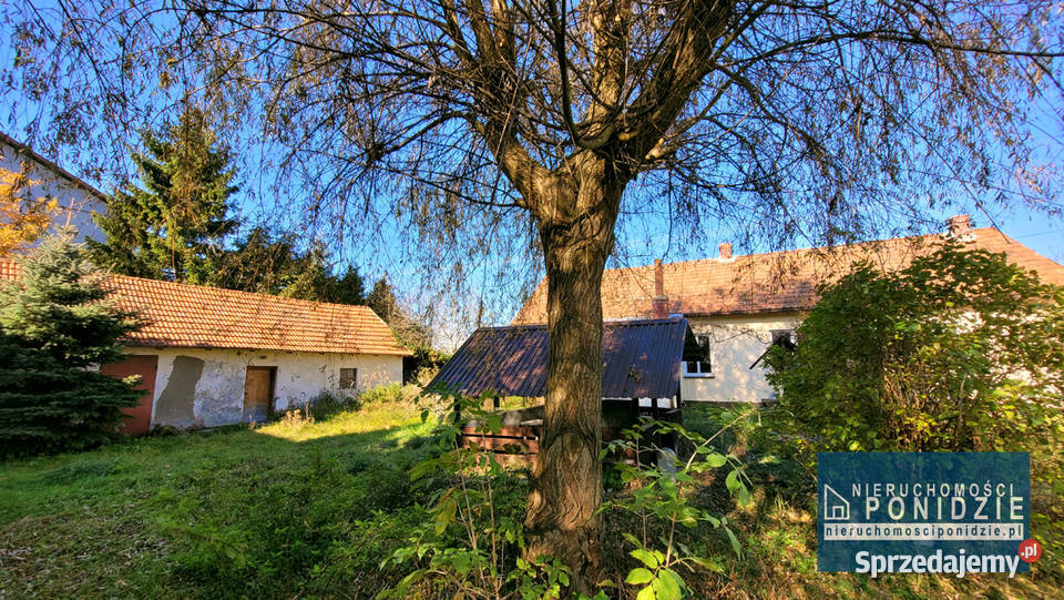 Dom 80 m2 na działce 2677 m2 SkrzypiówPińczów sprzedam