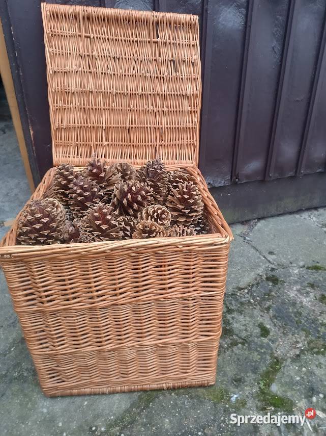 Szyszki sosny czarnej śląskie Imielin sprzedam