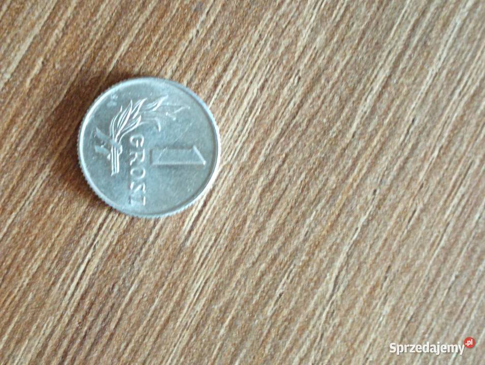 Sprzedam 1 grosz 1949 r bzm Chełm sprzedam