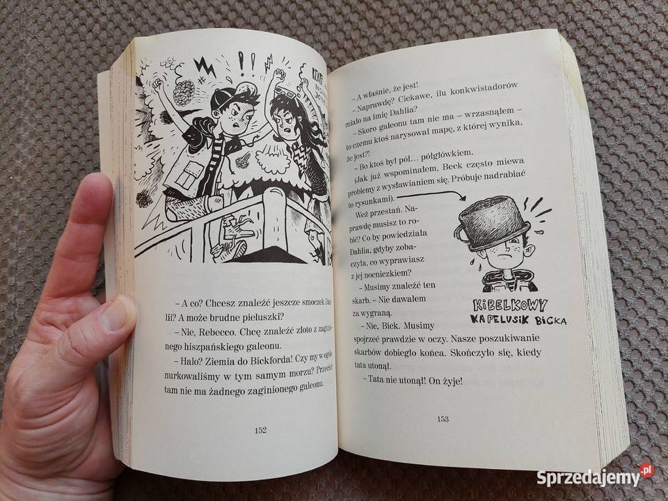 Treasure Hunters Łowcy skarbów James ISBN 9788324033508 Książki dla dzieci małopolskie Kraków