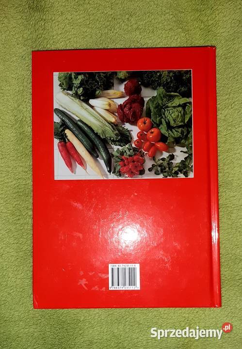 książka kulinarna przepisy na sałatki książka z Katowice