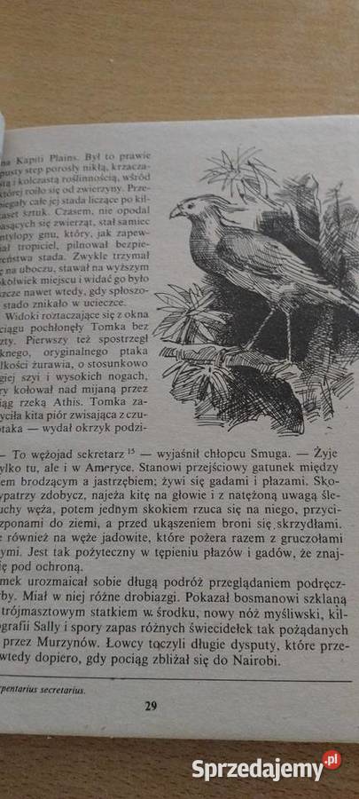 Przygody Tomka na czarnym Lądzie Tom drugi Beletrystyka, powieści Lublin