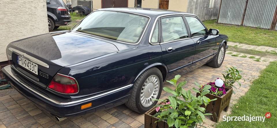 Piękny Jaguar XJ x300 Executive wielkopolskie Konin