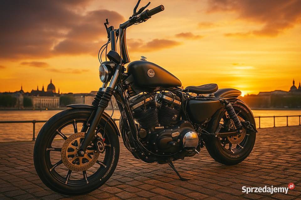 Harley Davidson XL883N bober Więckowice sprzedam