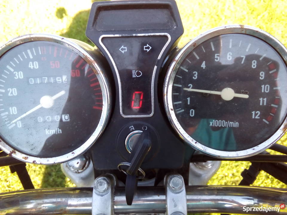 Toros El Clasico Dębniaki