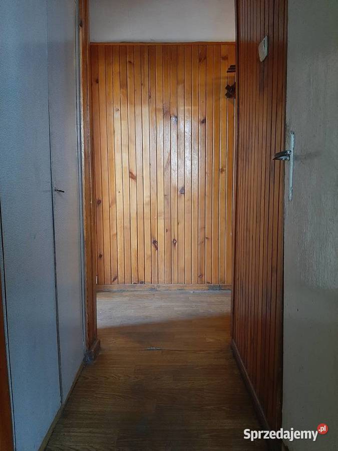 Mieszkanie Bytom Centrum Estreichera 425 M2 1 telefon