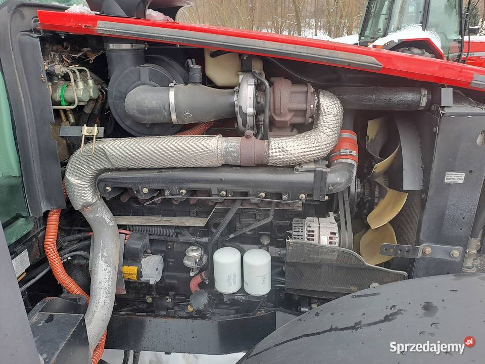 Massey Ferguson 6465 Tuz Ruda-Huta sprzedam