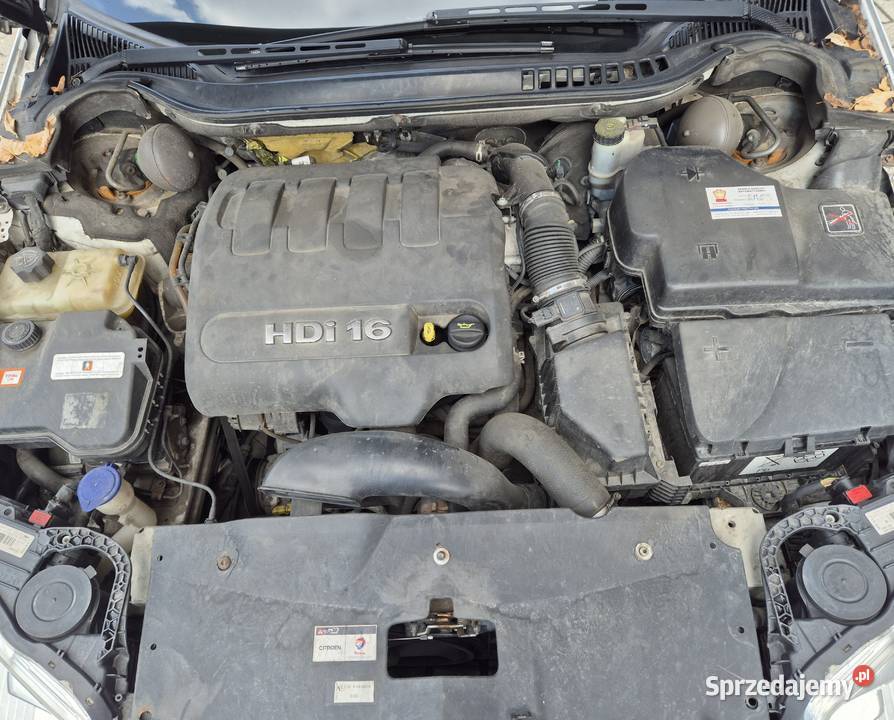 Citroen C5 20 HDI 136 Drugi właściciel Serwisie Lublin