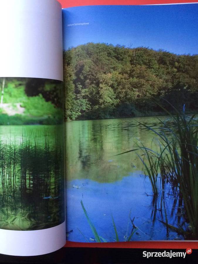2221 Szczecin W Kwiatach zachodniopomorskie