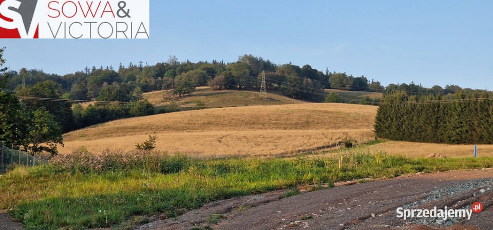 Kameralne miejsce z przyłączem elektrycznym utwardzona dolnośląskie Głuszyca