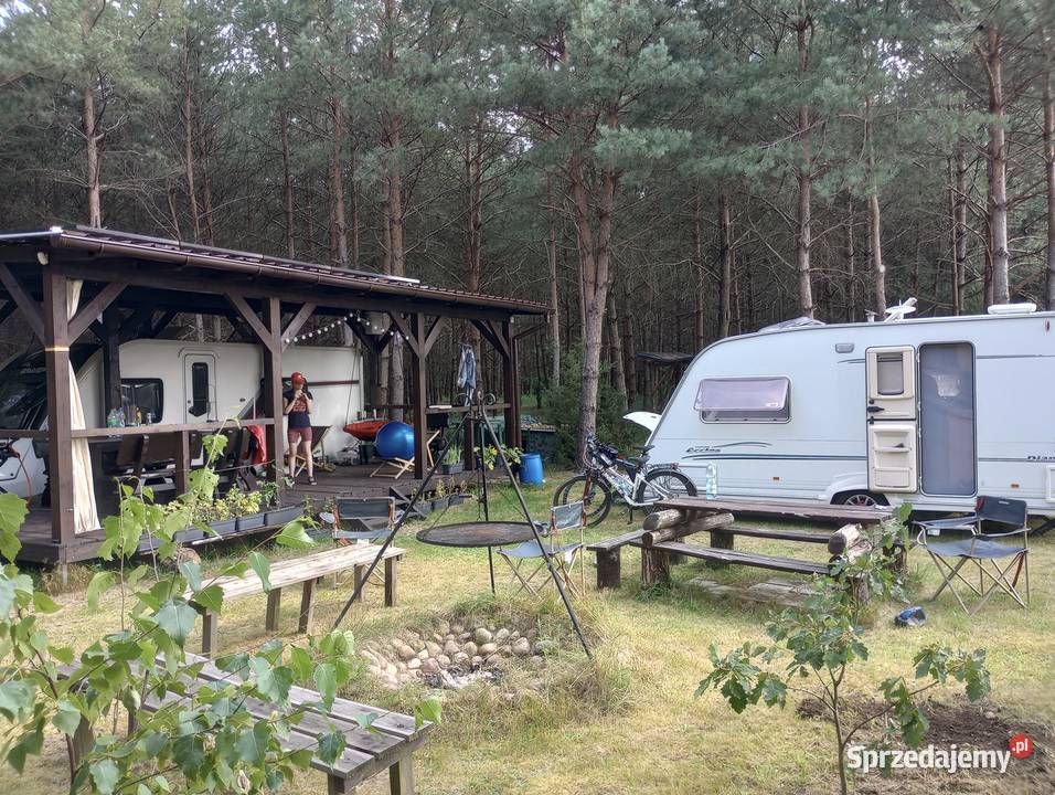 Kompleks 12 działek leśnych powierzchnia 369ha Konopaty