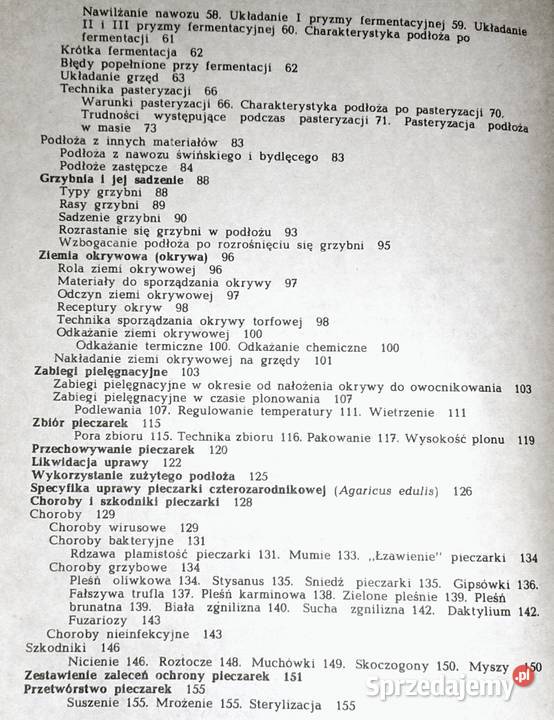 Pieczarka Krystian Szudyga Chełm