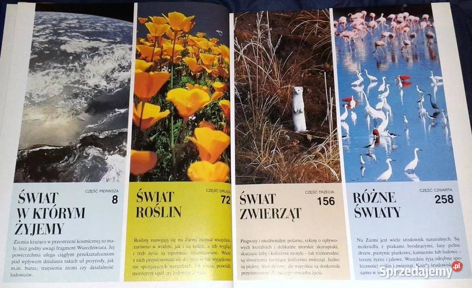 ABC przyrody w pytaniach i odpowiedziach Readers Rok wydania 2003 Chełm