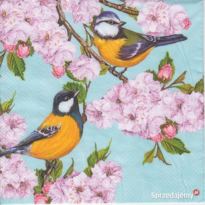 Decoupage serwetki ptaki ptaszki kwiaty sikorki świętokrzyskie Skarżysko-Kamienna