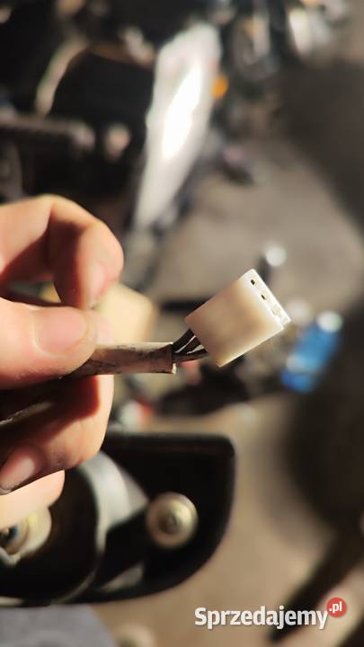 lampa tylna tylnia bandit suzuki 400 Lampy tylne Białystok