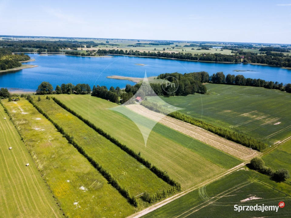 Działka rolna Jeziorem Białym Rajgrodzkim Sprzedaż Romoty