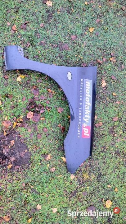 Błotnik przedni lewy prawy Peugeot 307 Bydgoszcz sprzedam