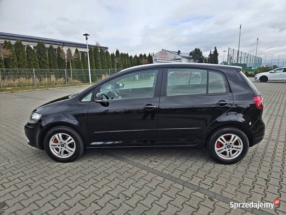 Volkswagen Golf Plus 16 benzyna klimatyzacja 115KM Golf Plus wielkopolskie Koźmin Wielkopolski