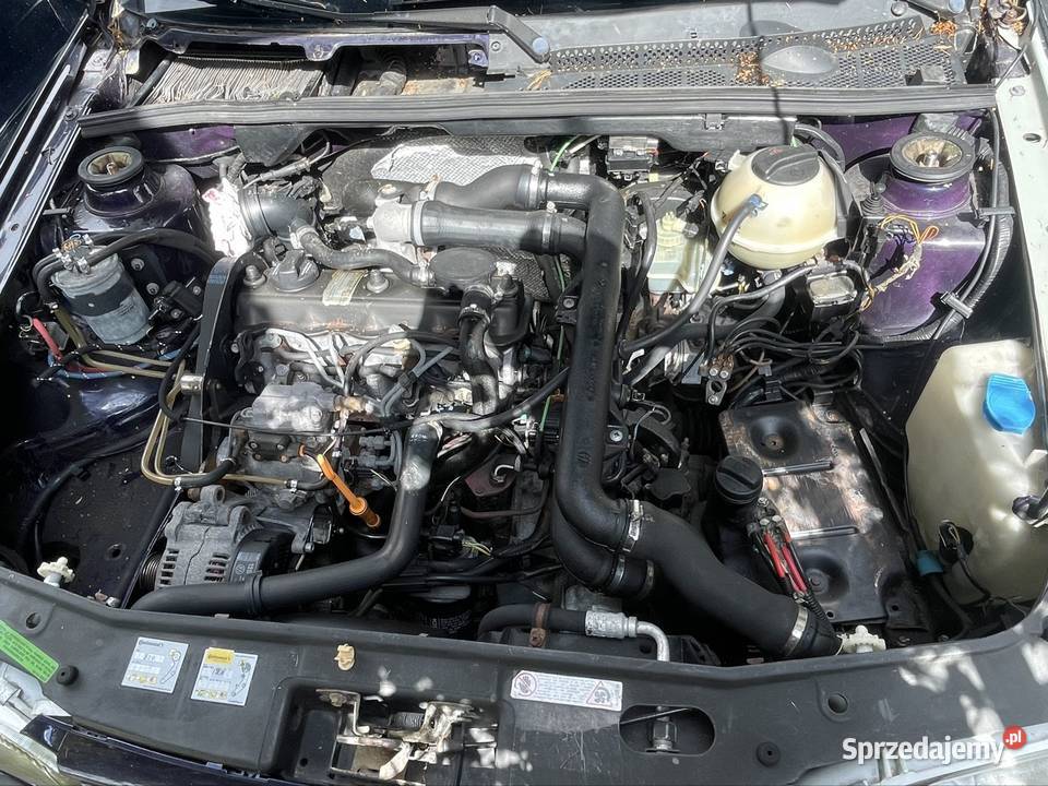 Vw Golf 3 na części Rok produkcji 1994 Nowy Sącz sprzedam