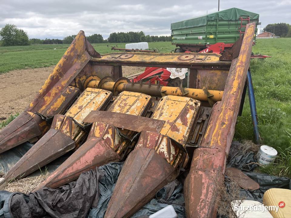 Kombajn Bizon Z056 super heder do kukurydzy Pilczyca