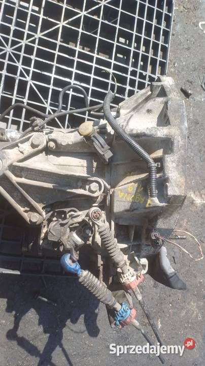 Renault Laguna 19 DCI Skrzynia biegów śląskie Żywiec