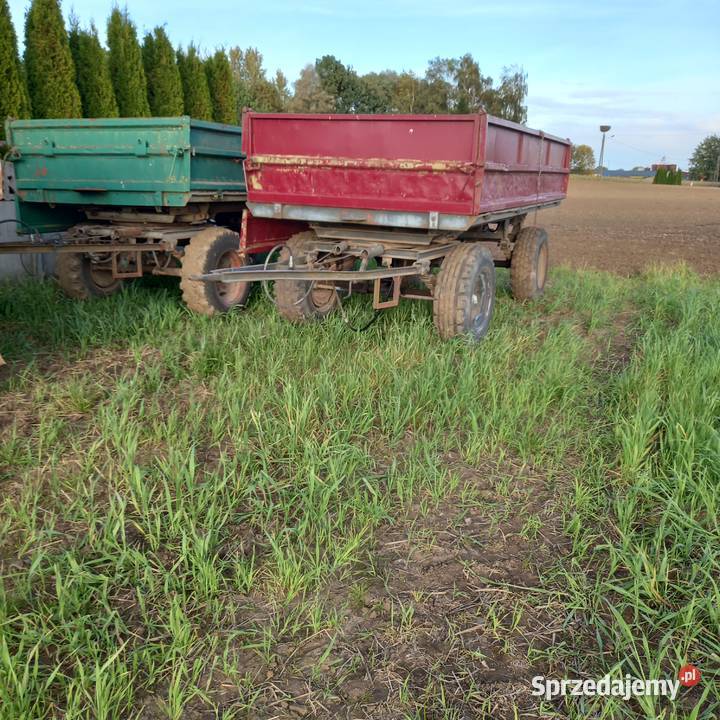 Przyczepa hl 6011 thk 5 zarejestrowane Gołańcz sprzedam