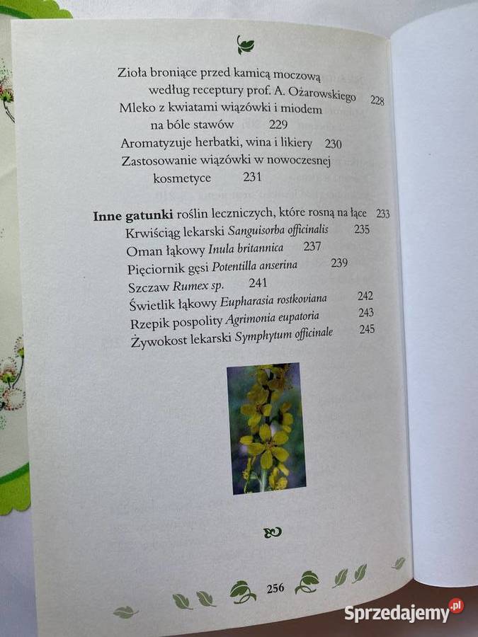 Apteka na laceRoslinyktore leczaZNowak Lublin