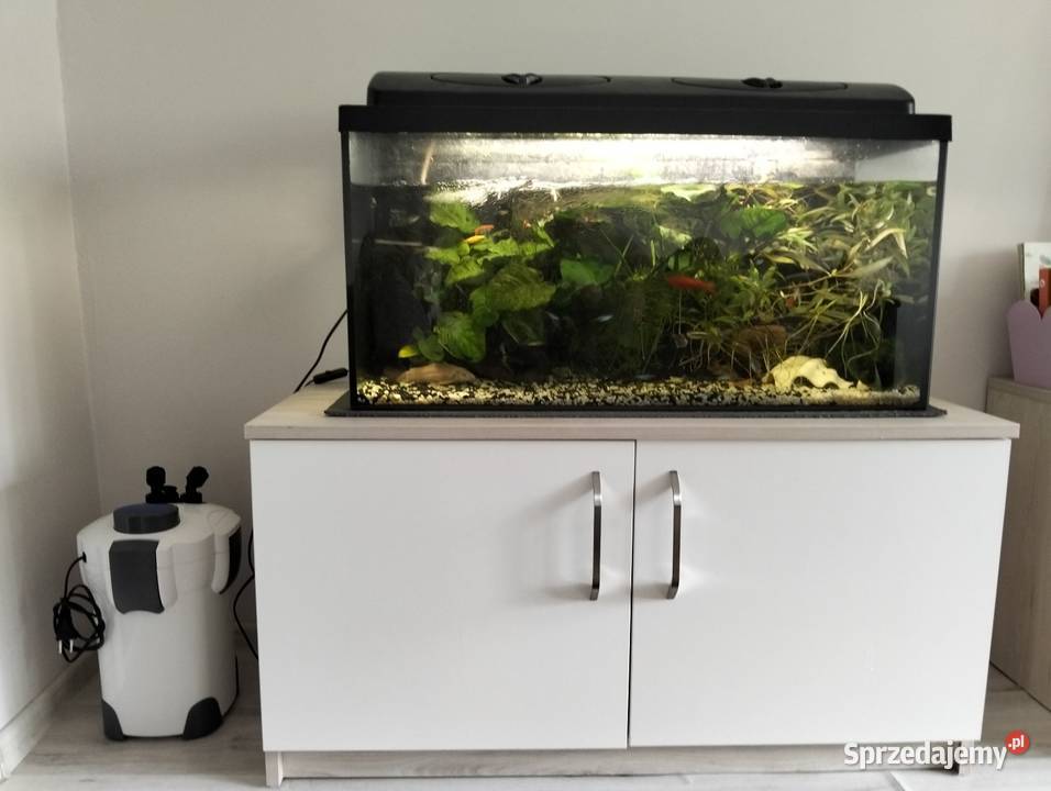 Akwarium 112l z życiem Konin