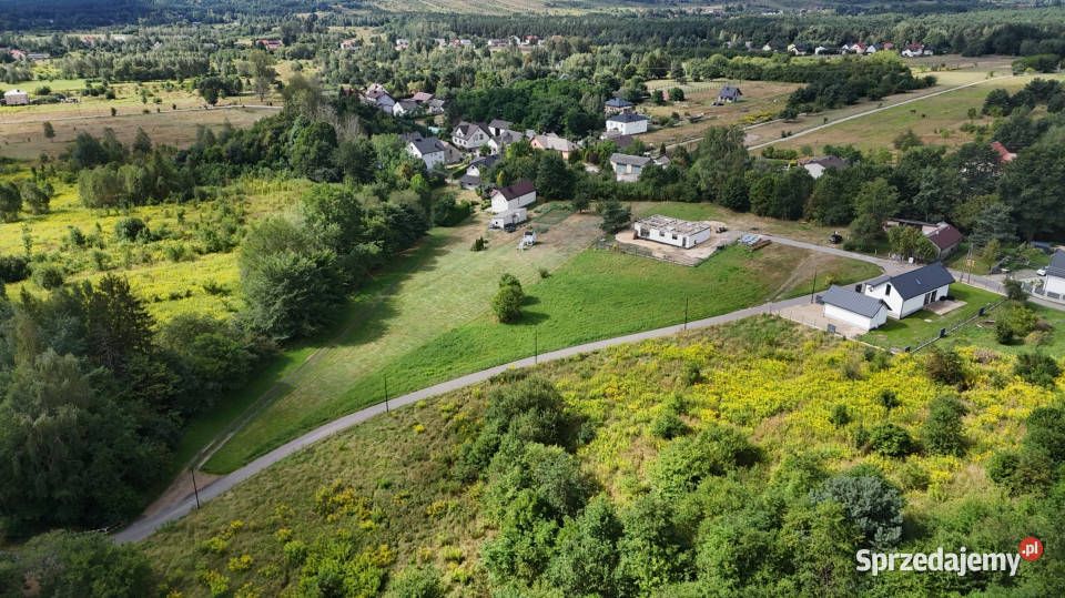 Kompleks Działek Budowlanych RYCZÓWEK 5387 m budowlana Sprzedaż Ryczówek sprzedam