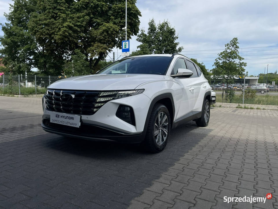 Hyundai Tucson 16TGDI HEV 230 6AT 4WD Executive bluetooth Piotrków Trybunalski