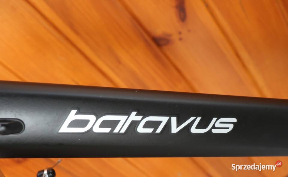 Rower męski Batavus Zonar H 57 I inne rowery Milanówek