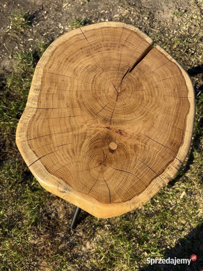 Stolik taboret z plastra dębu małopolskie Tarnów