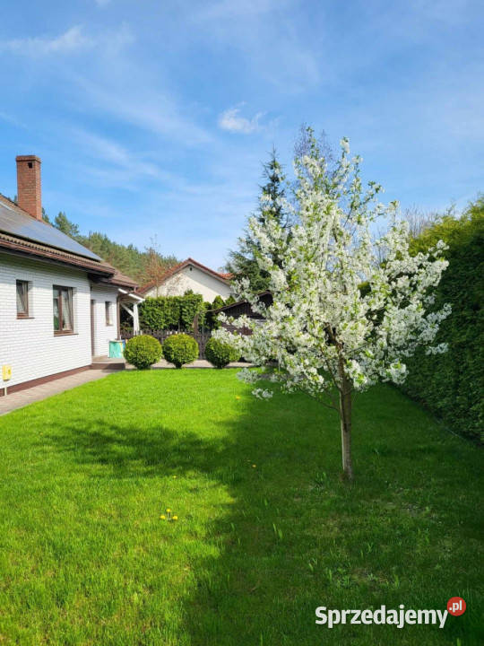 Dom Kobylanka 155m2 1 piętro sprzedam