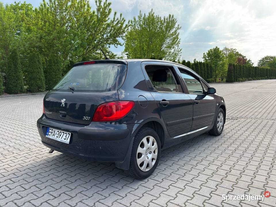 Peugeot 3072005 benzyna 1400cm3