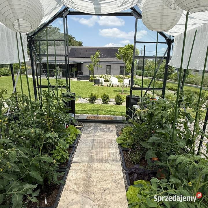 Płytki Trawertyn Silver Ash bębnowany 61x61x3