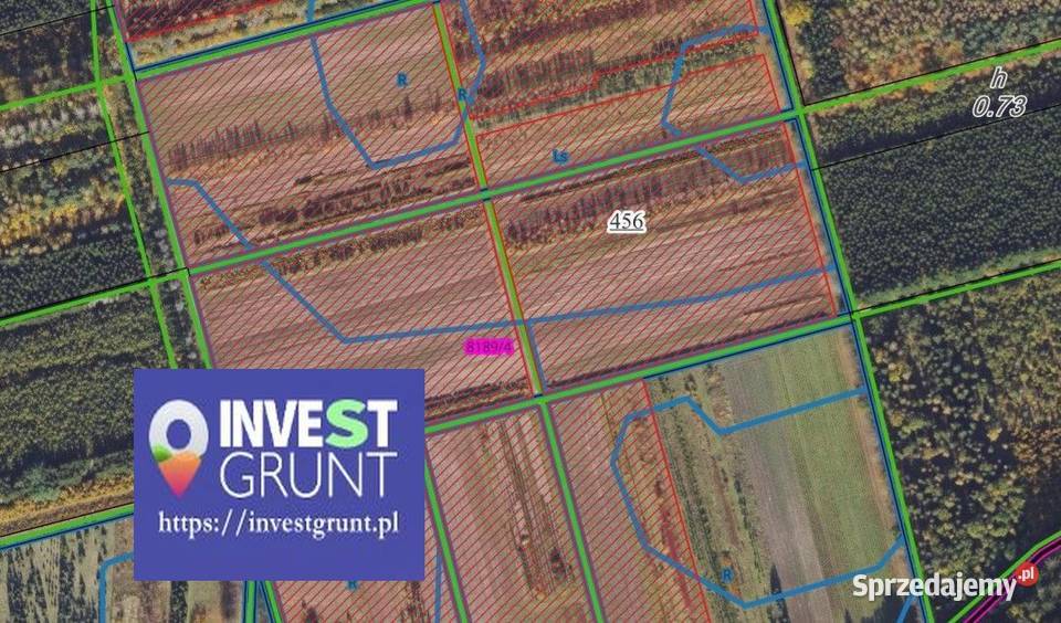 1565 ha przetarg na dzierżawę gruntów rolnych Jastrowie