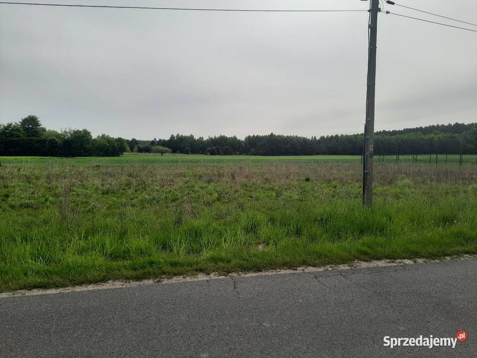 Nowe Chrusty 1300 m2 asfalt Sprzedaż