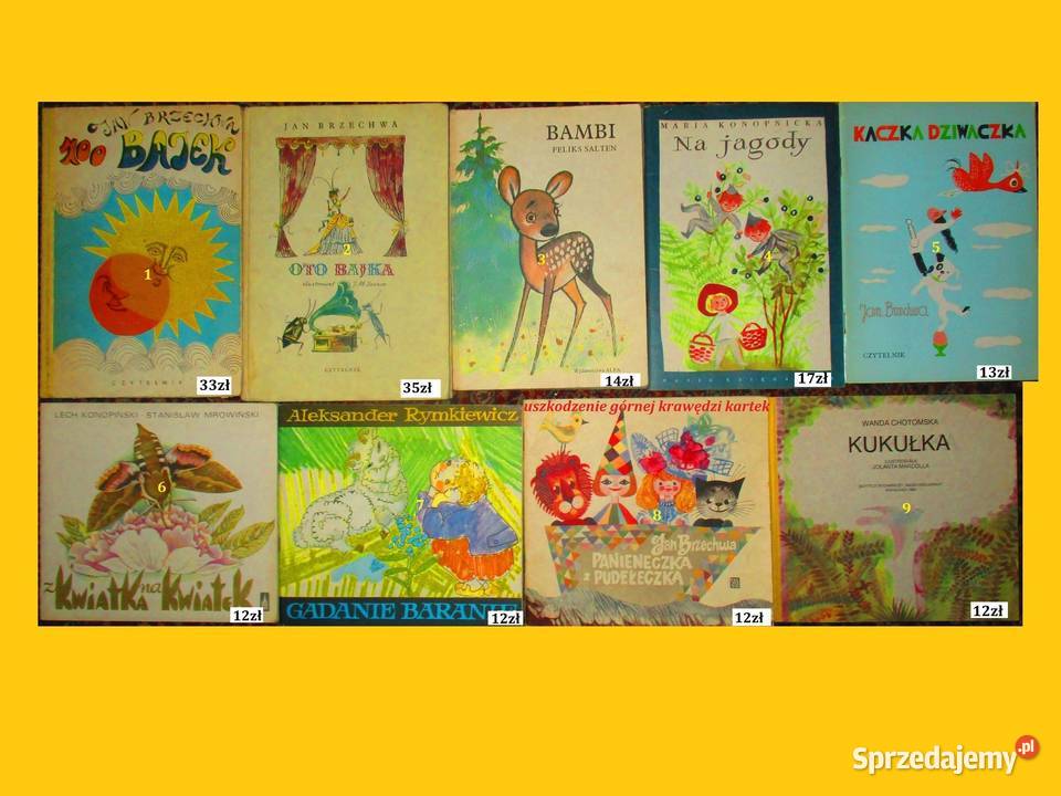 W pustyni i w puszczy HSienkiewicz Bahdaj łódzkie