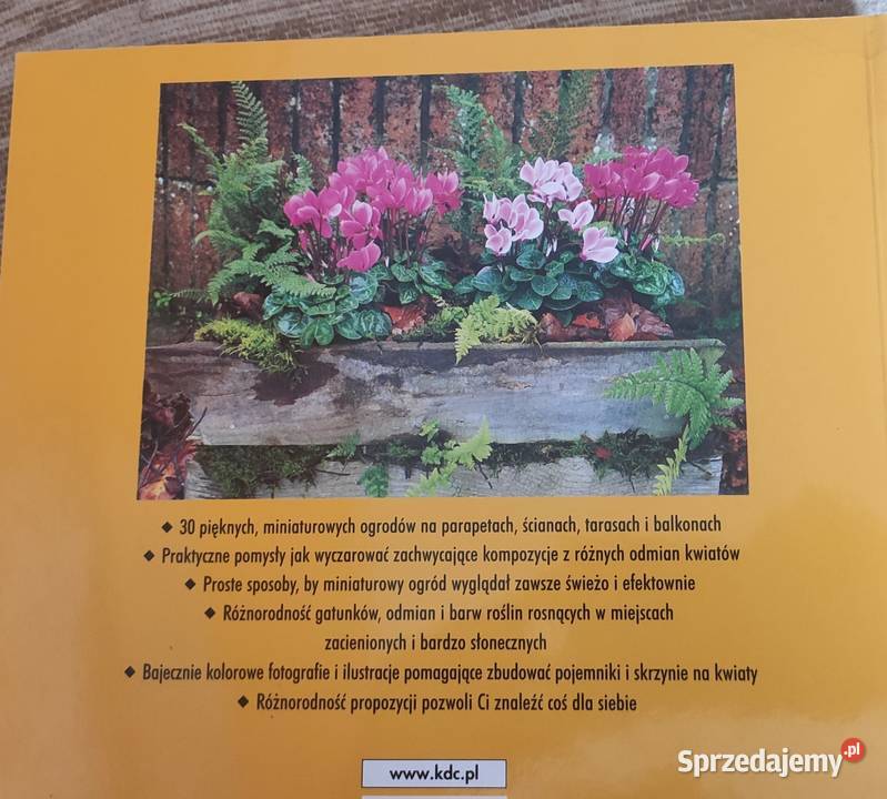 Ogród w oknie na wyciągnięcie ręki pomorskie Gdańsk