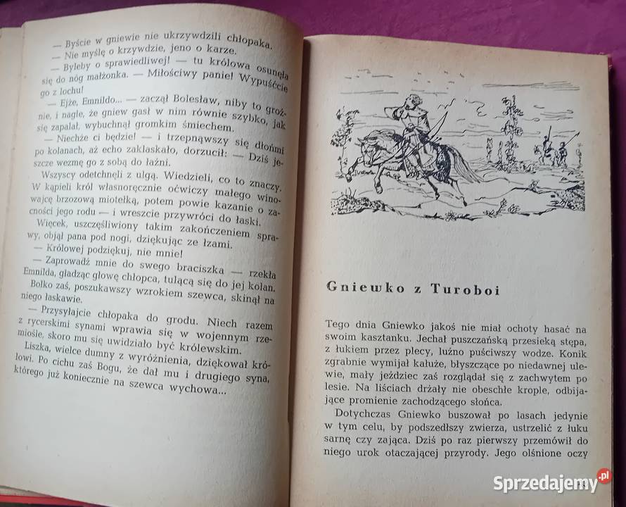 Jadwiga i Anna Chamiec Gniewko z Turoboi Wyd I sprzedam