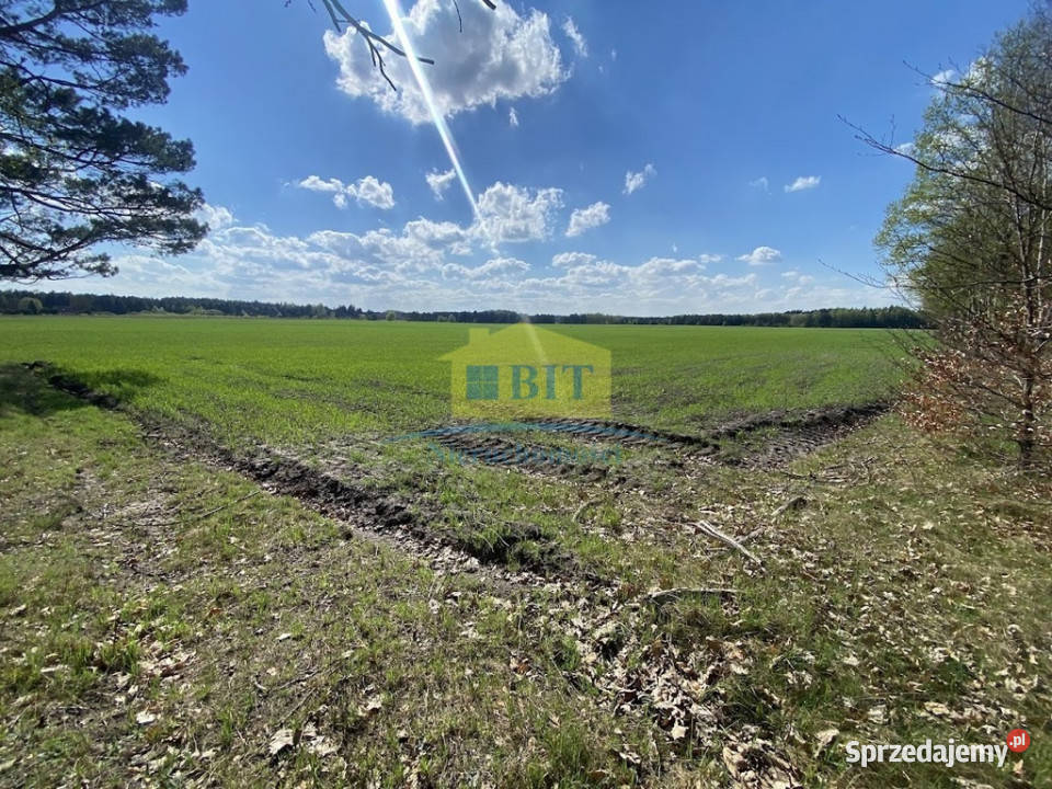 Działki 3 000 m2 Wygon Jeziorem Piaseczno