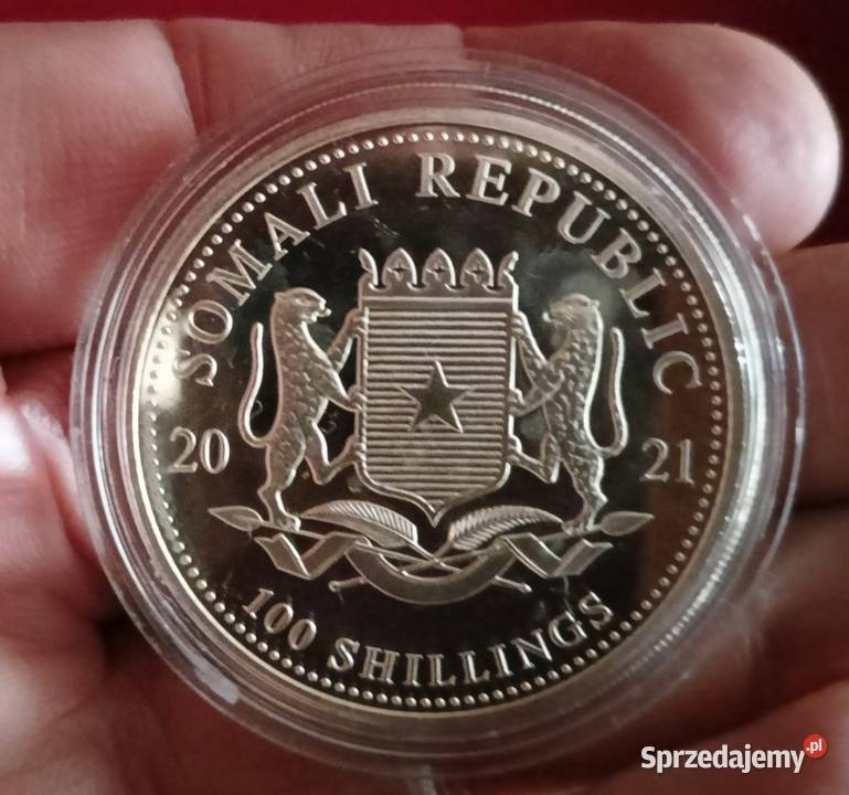 Srebrna moneta 1 uncja Słoń Somalijski Rzeszów sprzedam