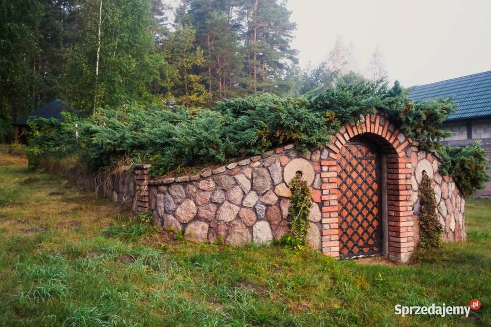 Urocze siedlisko z lasem  i wzgórzem nad stawami 90min od warszawy