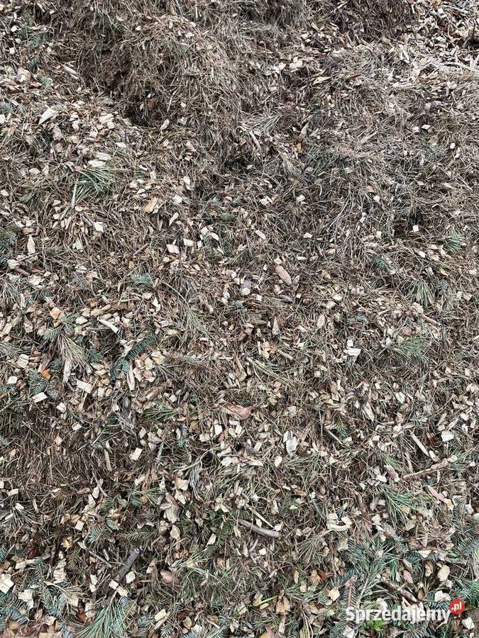 Sprzedam zrębkę do opału pod krzewy Białobrzegi sprzedam