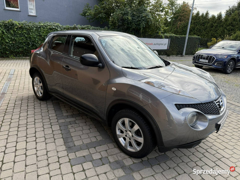 Nissan Juke Rej012011 16 117 Klimatyzacja I Zarejestrowany w Polsce Orzech